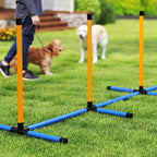 Koiran agility-setti 7 osaa: este, rengas, pujottelu, pysähdysruutu, pallot ja pilli, oranssi