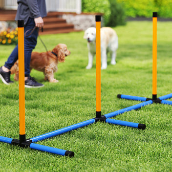Koiran agility-setti 7 osaa: este, rengas, pujottelu, pysähdysruutu, pallot ja pilli, oranssi