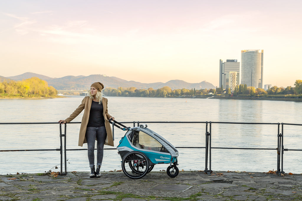 Qeridoo KidGoo1 polkupyörän peräkärry 2020, sininen tai harmaa