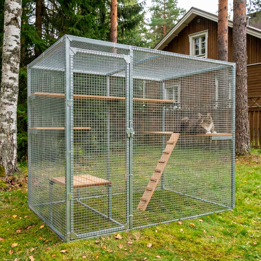 Trekker Kissan ulkohäkki 2,5x1,5x1,95m