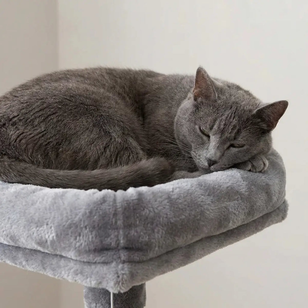 NordDjur Klättrings-/klösstång för katter 143 cm, ljusgrå