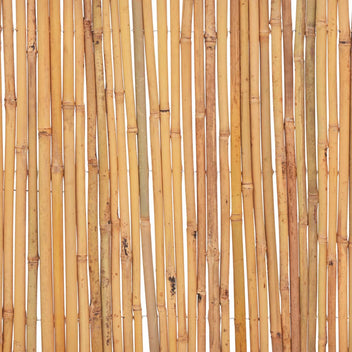 Bambuaita 500x30 cm