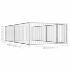 Koiran ulkohäkki 200x400x100 cm