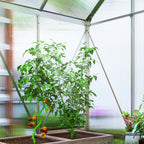 Alumiininen polykarbonaattikasvihuone perustuksella ja kattoikkunalla, 2,5 m², hopea