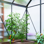 Alumiininen polykarbonaattikasvihuone perustuksella ja kattoikkunalla, 2,5 m², harmaa