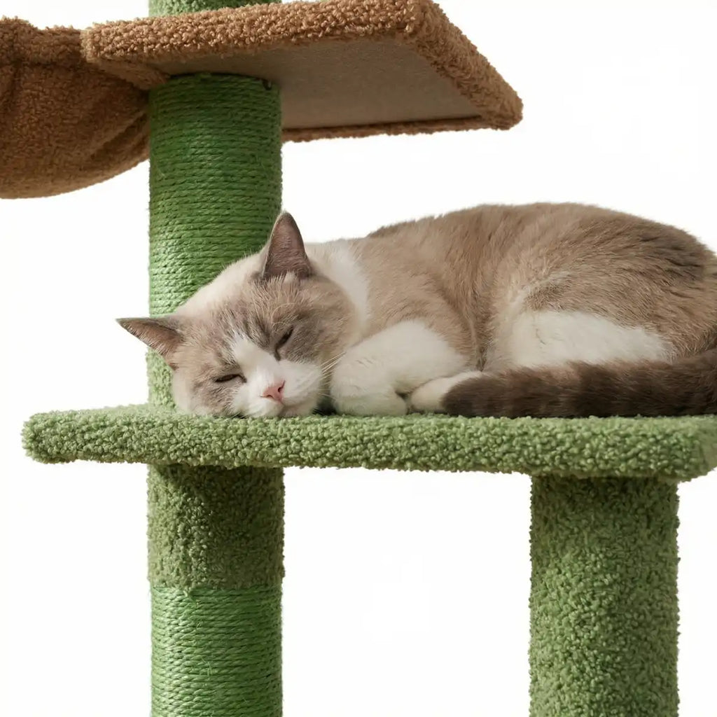 NordDjur Kattklätter-/klösstång 229–275 cm, grön kaktus