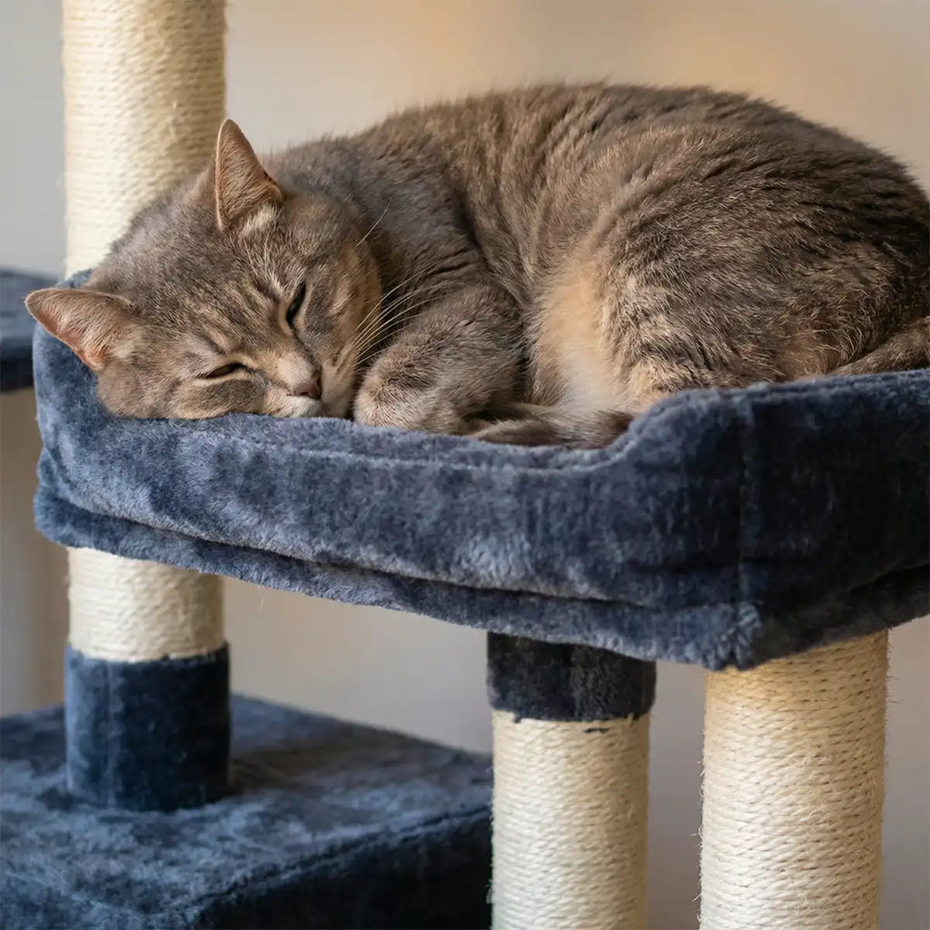 Pohjolan Lemmikkitarvike Kissan kiipeily-/raapimapuu 143 cm, tumman harmaa