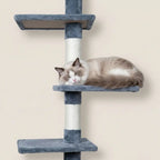 Kissan kiipeily-/raapimispuu 229-275 cm, vaalean harmaa