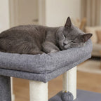 Pohjolan Lemmikkitarvike Kissan raapimispuu 138cm Harmaa