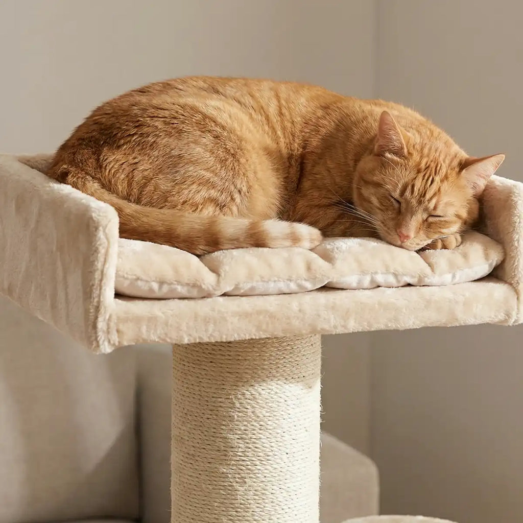 NordDjur Kratträd för stora katter 155 cm, beige