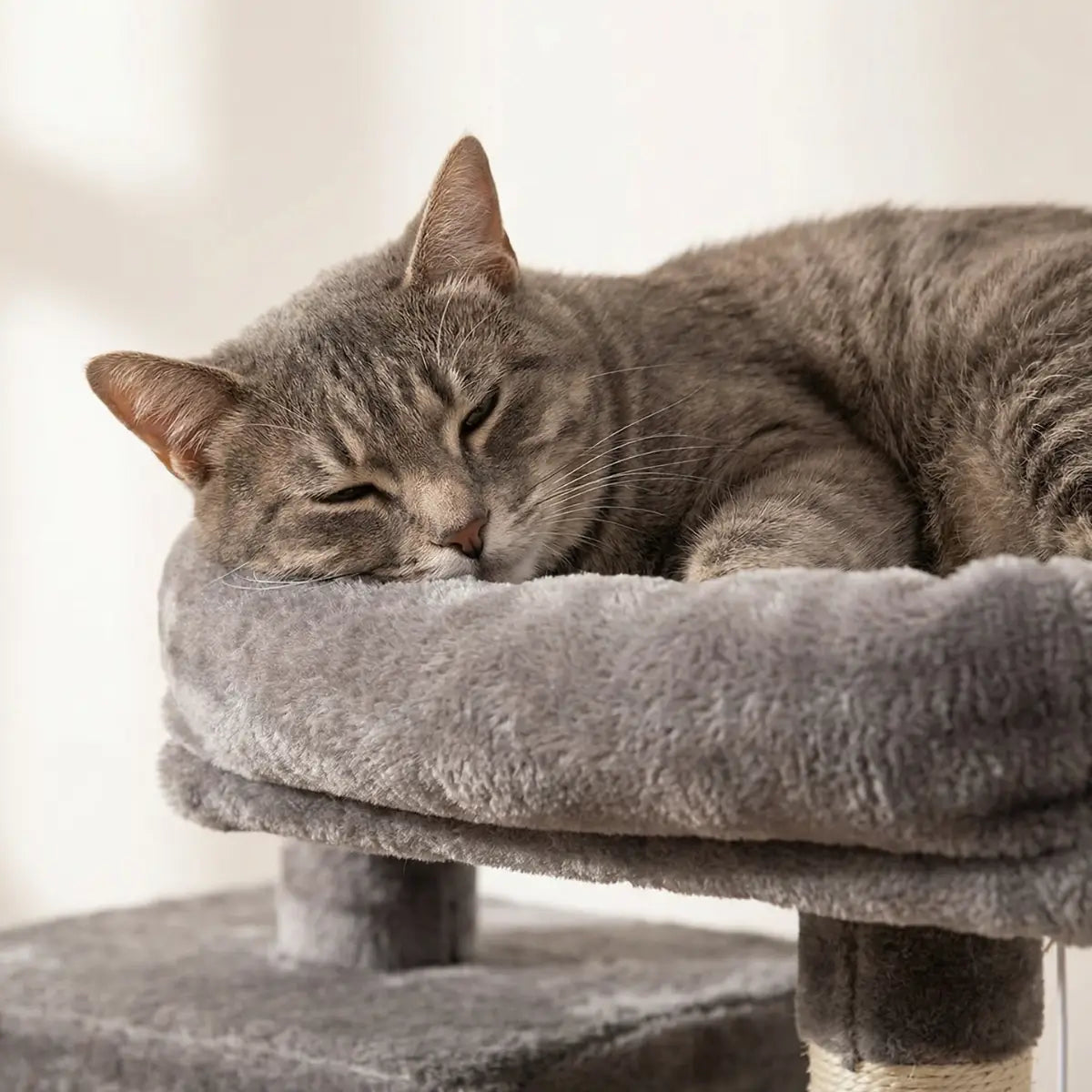 Klättringsträd för katt 143 cm – flera nivåer, gömställe, klättringsytor