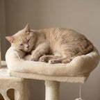 Kissan kiipeily-/raapimispuu 143 cm, beige