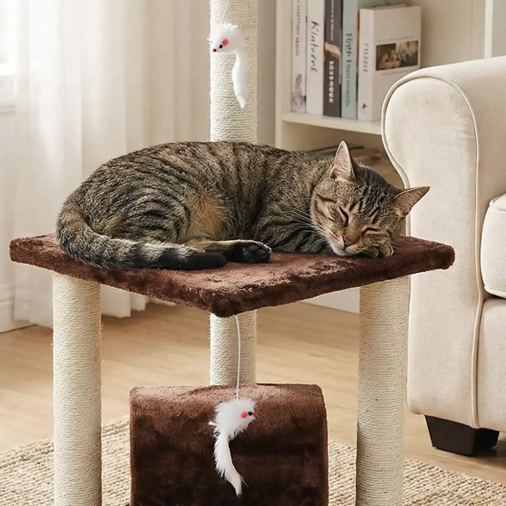 Pohjolan Lemmikkitarvike Kissan kiipeily-/raapimispuu 83 cm, Ruskea