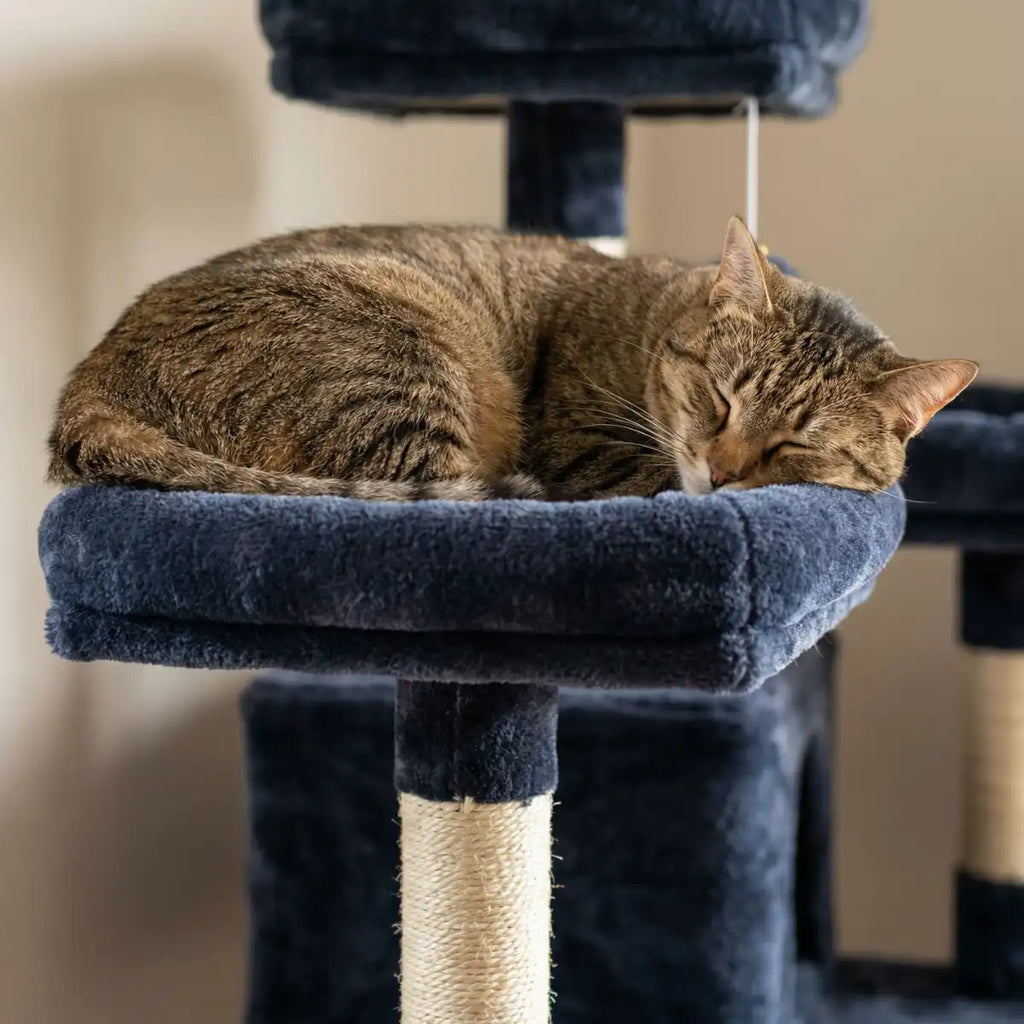 NordDjur Kattklös-/klätterträd 206 cm, mörkgrå