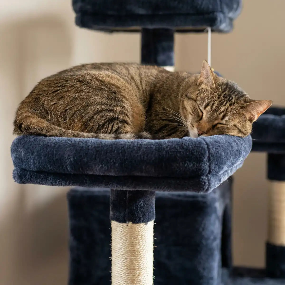 Kattklätterträd 206 cm – 2 koppar, 2 hängmattor, 6 nivåer