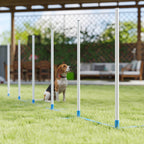 Koiran agility-pujottelukepit 6 kpl, suora tai porrastettu, kantolaukku, 305 cm