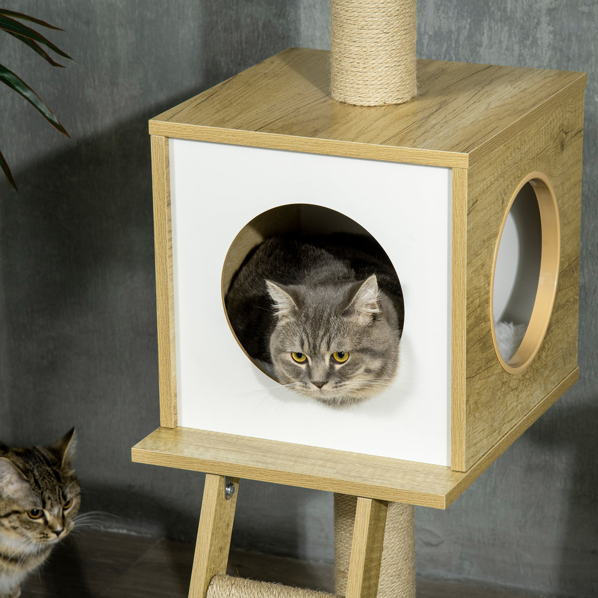 Kattoon ulottuva kissan raapimispuu pesällä ja riippumatolla, 240–260 cm, vaaleanruskea