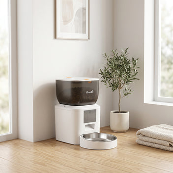 Ruokinta-automaatti WLAN 4 l, sovellusohjaus, 1–10 ateriaa, äänikutsu, valkoinen