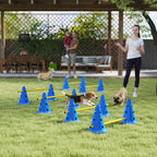 Koiran agility-esteet 6 kpl kartioilla, 3 korkeutta, kantolaukku, sininen