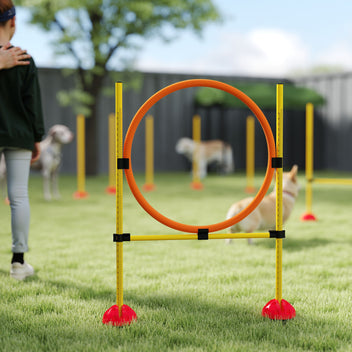 Koiran agility-setti 3 osaa: hyppyeste, rengas ja pujottelukepit, täytettävät jalustat, keltainen