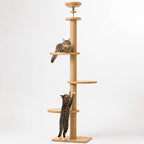 Högt klätterträd för katter 255–265 cm – träplattformar, 40x40 cm