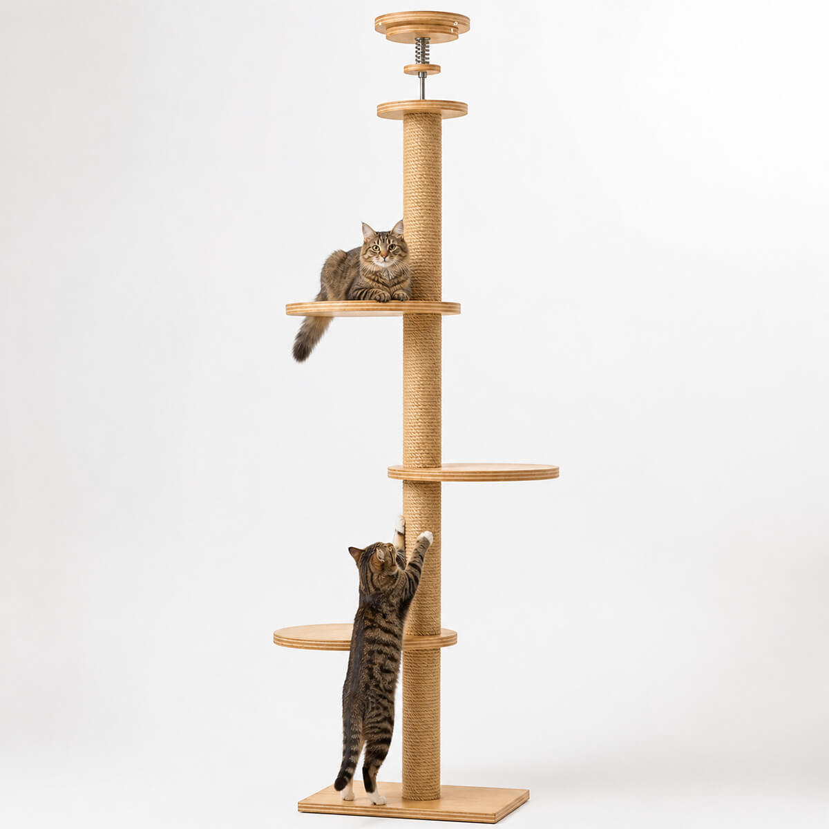 Högt klätterträd för katter 255–265 cm – träplattformar, 40x40 cm