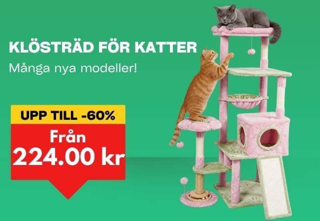Katt klättrar i träd