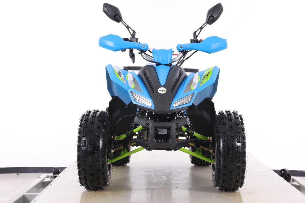 Arktis Motors barnminiquad 110CC helautomatisk, svart/grön