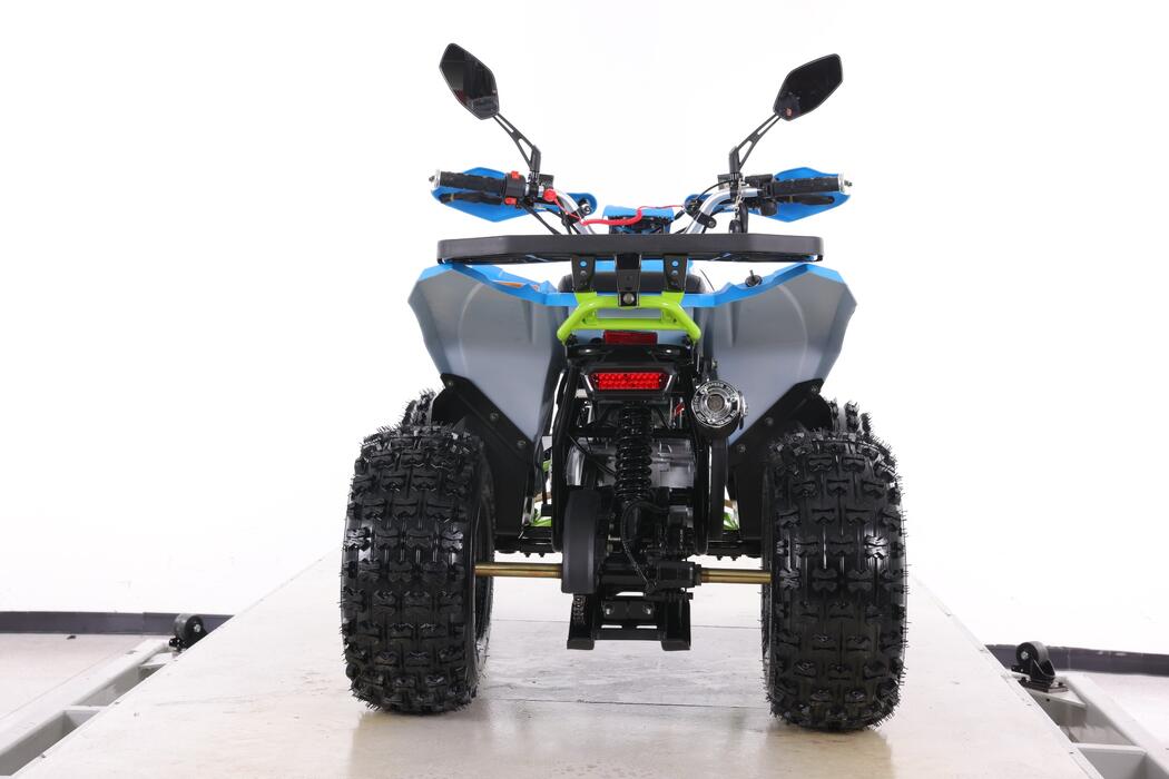 Arktis Motors barnminiquad 110CC helautomatisk, svart/grön