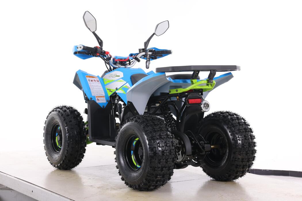 Arktis Motors barnminiquad 110CC helautomatisk, svart/grön