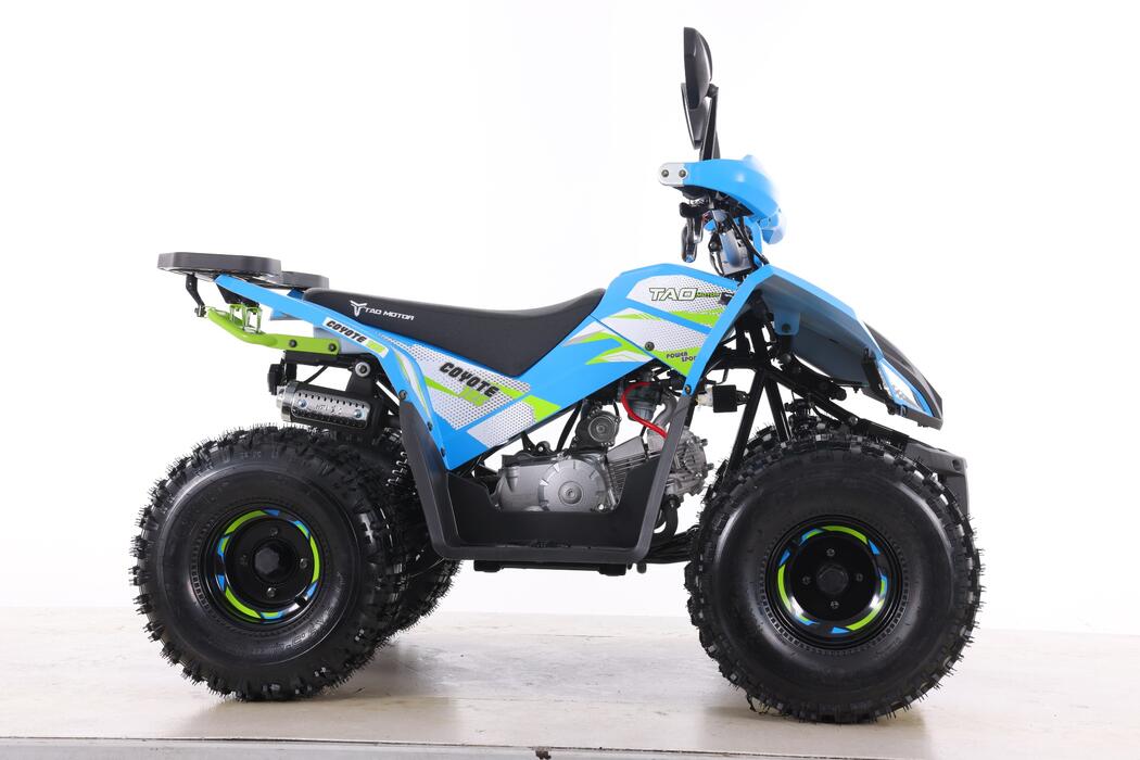 Arktis Motors barnminiquad 110CC helautomatisk, svart/grön