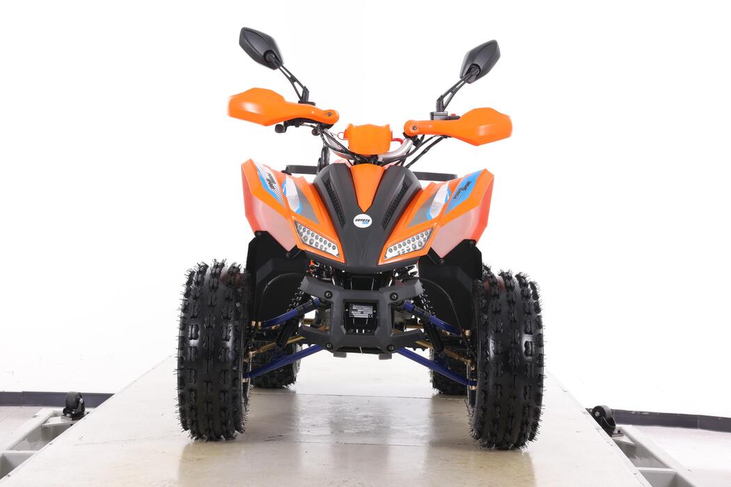 Arktis Motors barnminiquad 110CC helautomatisk, svart/grön
