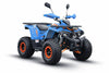 Arktis Motors barnminiquad 110CC helautomatisk, svart/grön