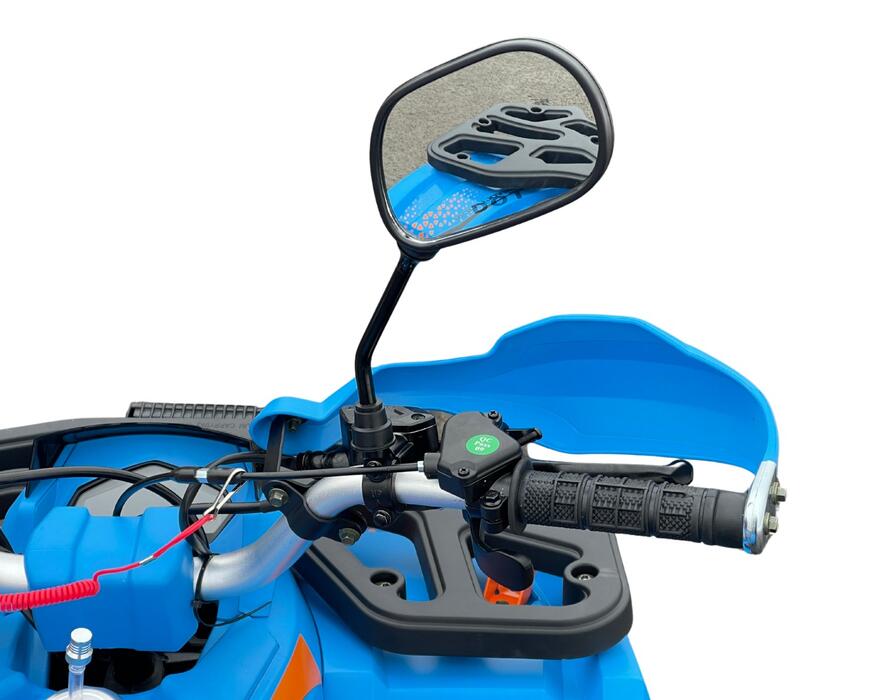 Arktis Motors barnminiquad 110CC helautomatisk, svart/grön