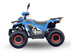 Arktis Motors barnminiquad 110CC helautomatisk, svart/grön