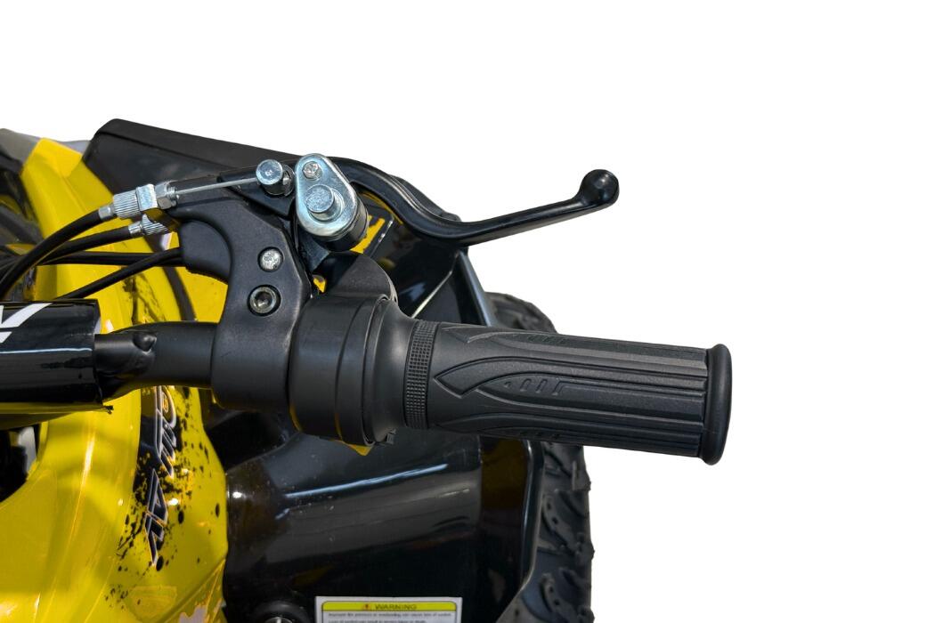 Arktis Motors barnminiquad 110CC helautomatisk, svart/grön