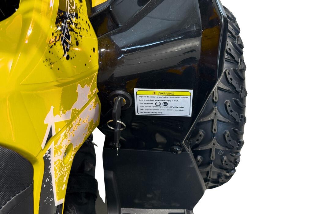 Arktis Motors barnminiquad 110CC helautomatisk, svart/grön