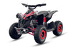 Arktis Motors barnminiquad 110CC helautomatisk, svart/grön