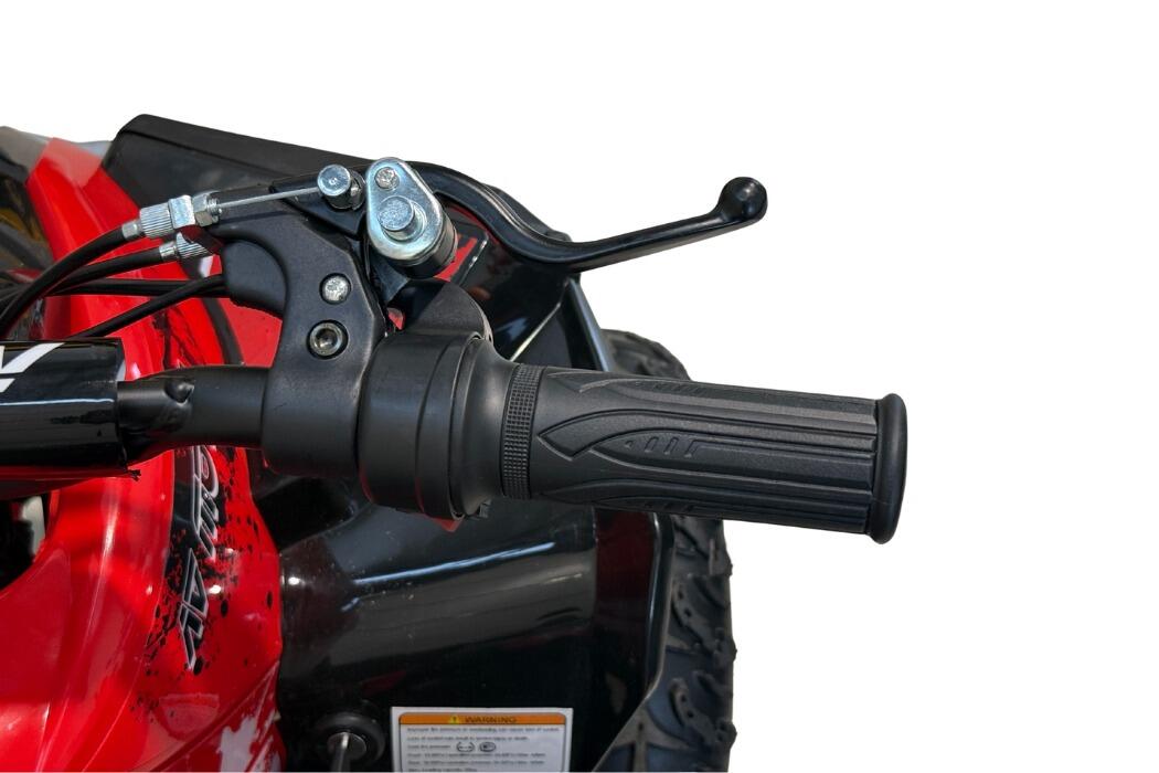 Arktis Motors barnminiquad 110CC helautomatisk, svart/grön