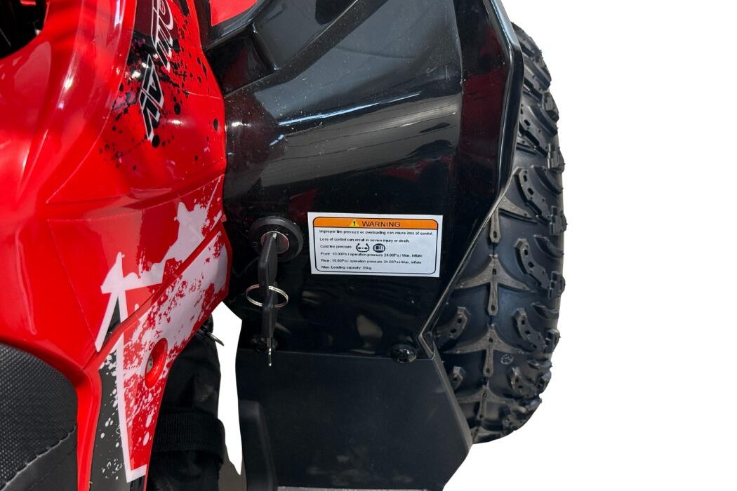 Arktis Motors barnminiquad 110CC helautomatisk, svart/grön