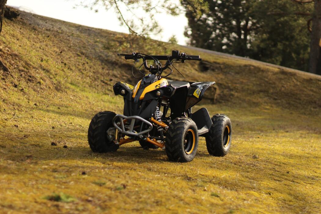 Arktis Motors barnminiquad 110CC helautomatisk, svart/grön