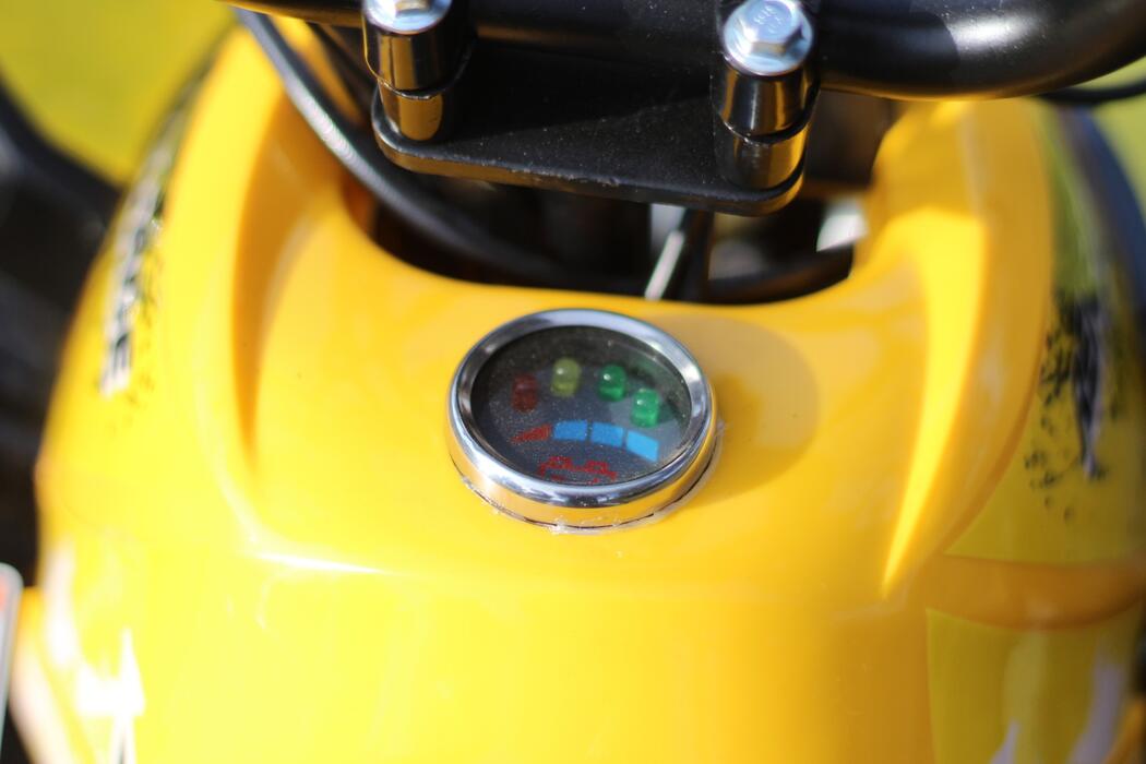 Arktis Motors barnminiquad 110CC helautomatisk, svart/grön