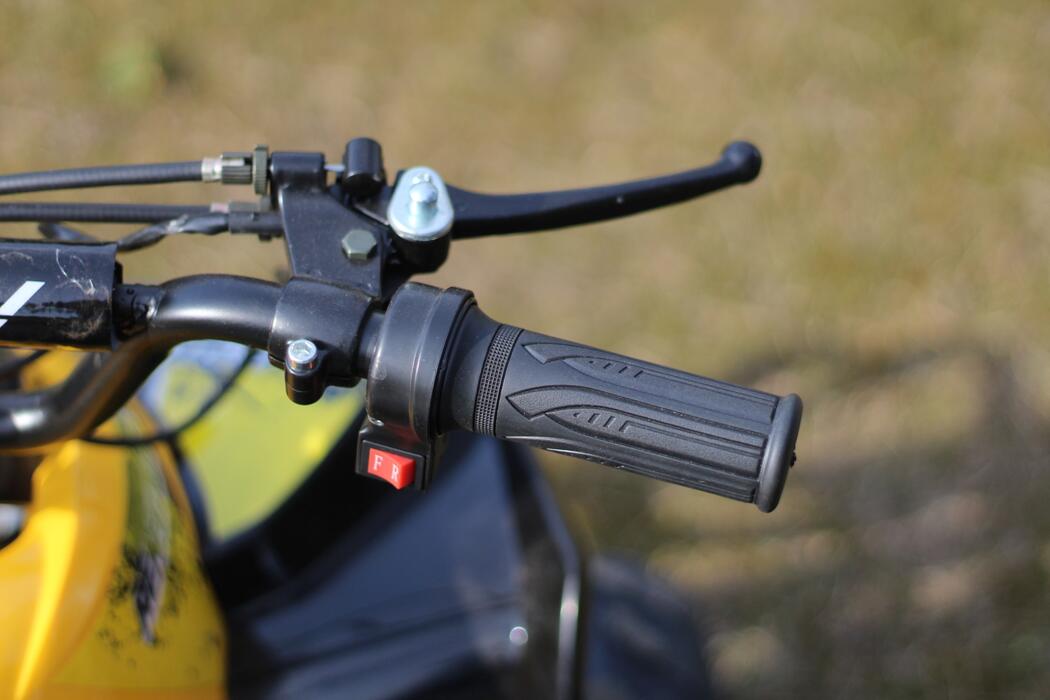 Arktis Motors barnminiquad 110CC helautomatisk, svart/grön