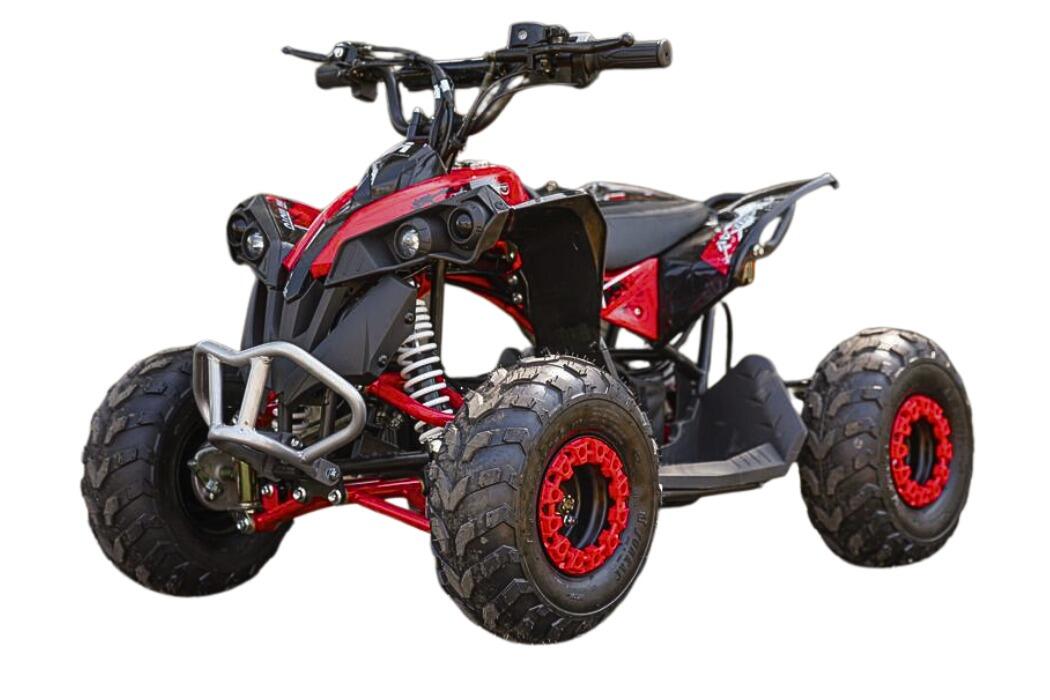 Arktis Motors barnminiquad 110CC helautomatisk, svart/grön