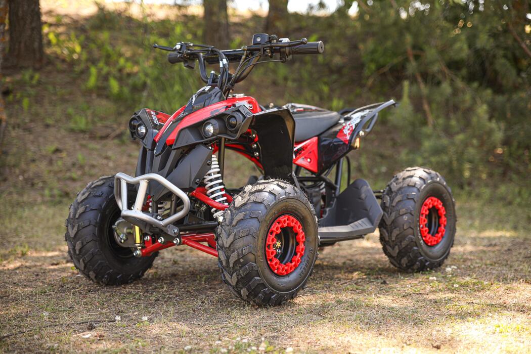 Arktis Motors barnminiquad 110CC helautomatisk, svart/grön