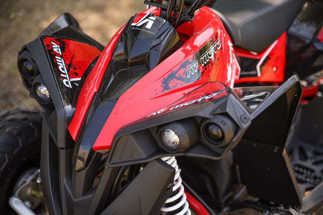 Arktis Motors barnminiquad 110CC helautomatisk, svart/grön