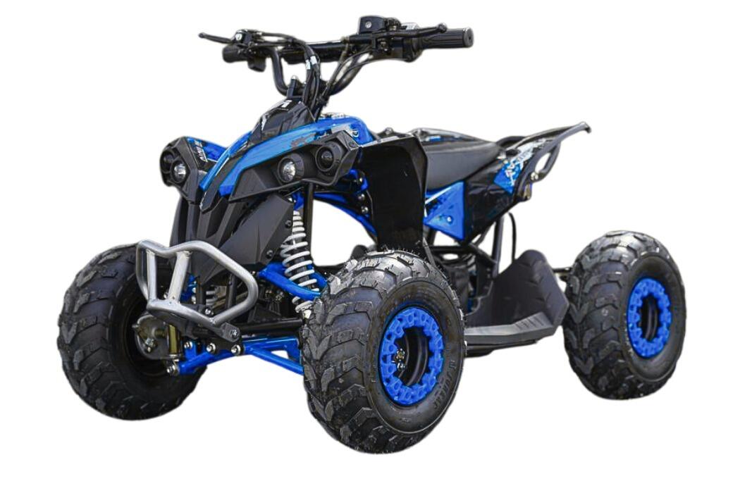 Arktis Motors barnminiquad 110CC helautomatisk, svart/grön