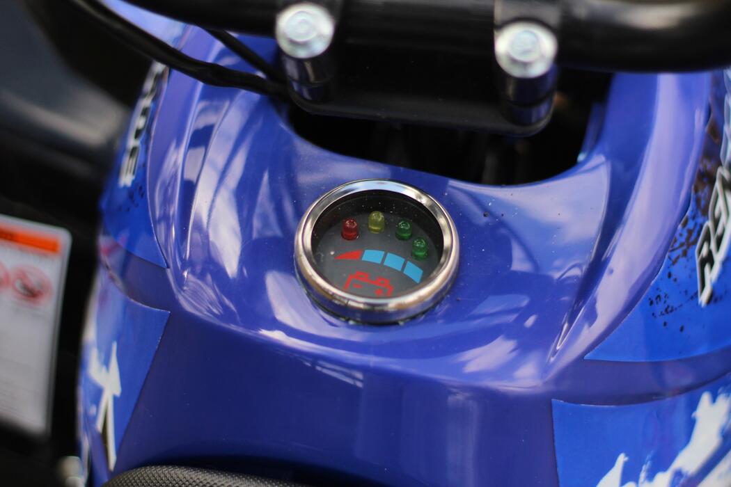 Arktis Motors barnminiquad 110CC helautomatisk, svart/grön