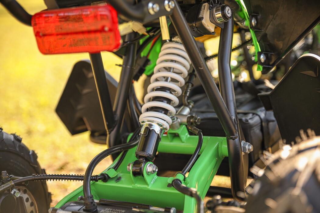 Arktis Motors barnminiquad 110CC helautomatisk, svart/grön