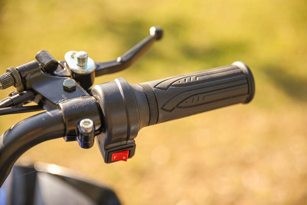 Arktis Motors barnminiquad 110CC helautomatisk, svart/grön